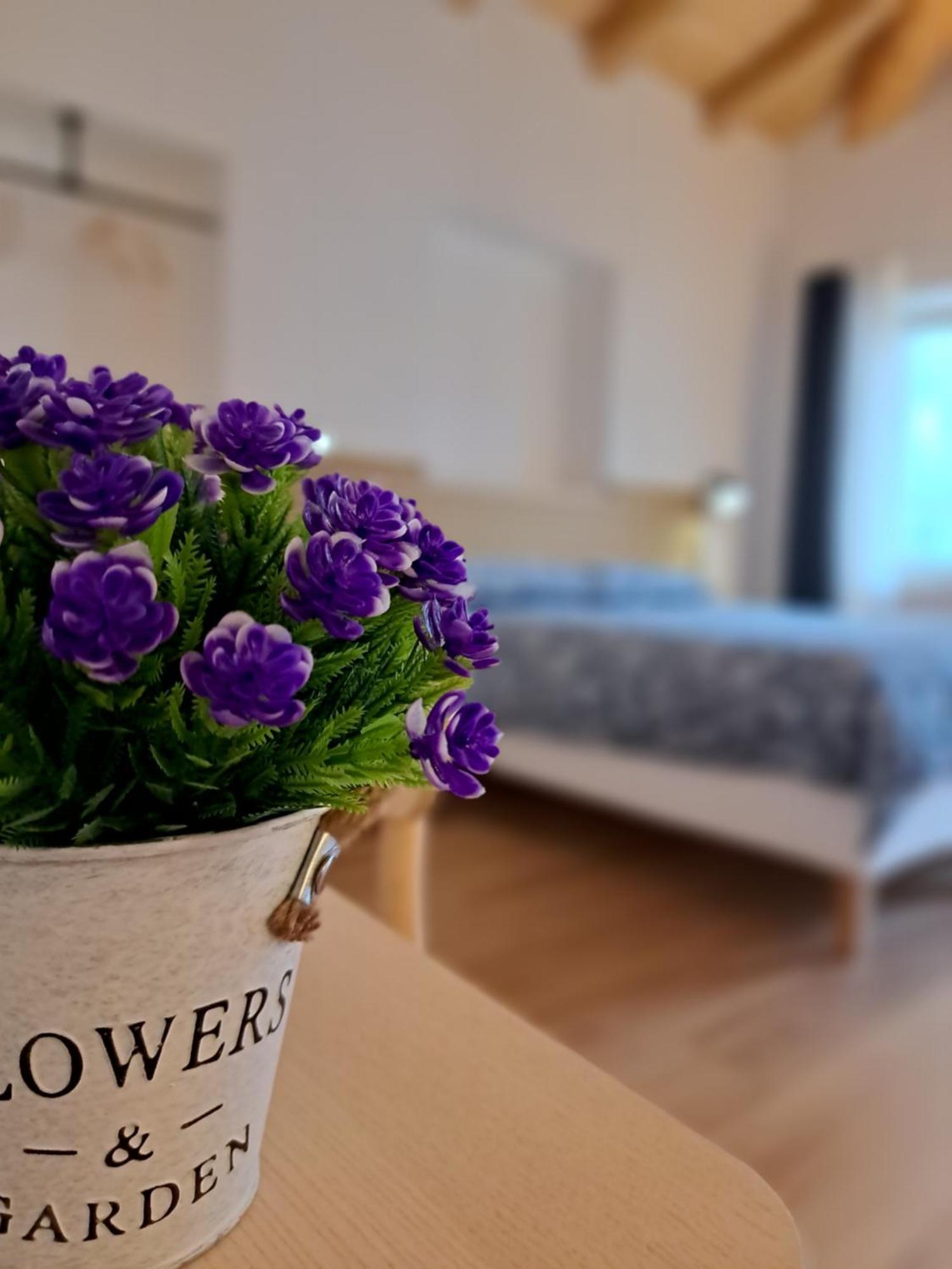 B&B Il Cortile Soriso Ngoại thất bức ảnh